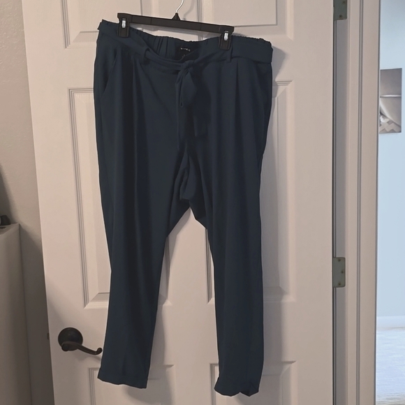 Women's plus size ankle pants - Picture 1 of 5